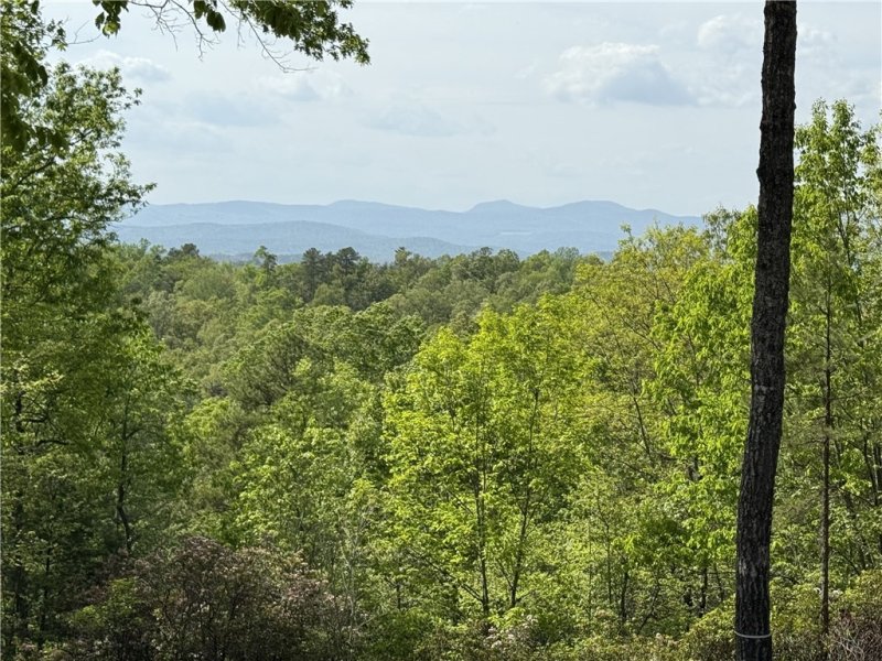 Property image 4 of 105 Parkview Lane in The Reserve At Lake Keowee, Sunset, SC 29685