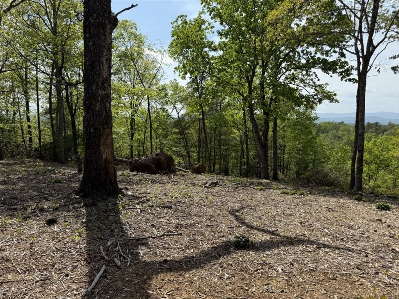 Property image 5 of 105 Parkview Lane in The Reserve At Lake Keowee, Sunset, SC 29685