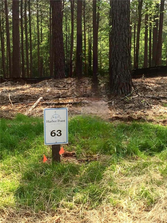 Property image 2 of Lot 63 Harbor Point Road in Harbor Point, Seneca, SC 29672
