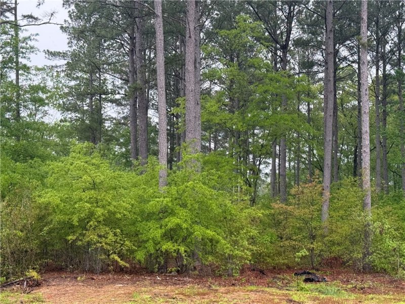 Property image 4 of Lot 63 Harbor Point Road in Harbor Point, Seneca, SC 29672