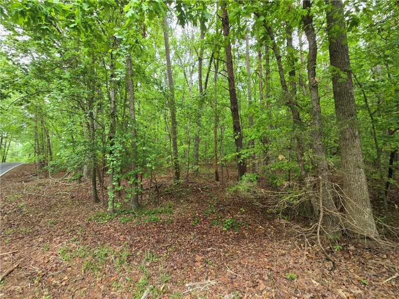 501 N Arrowhead Drive