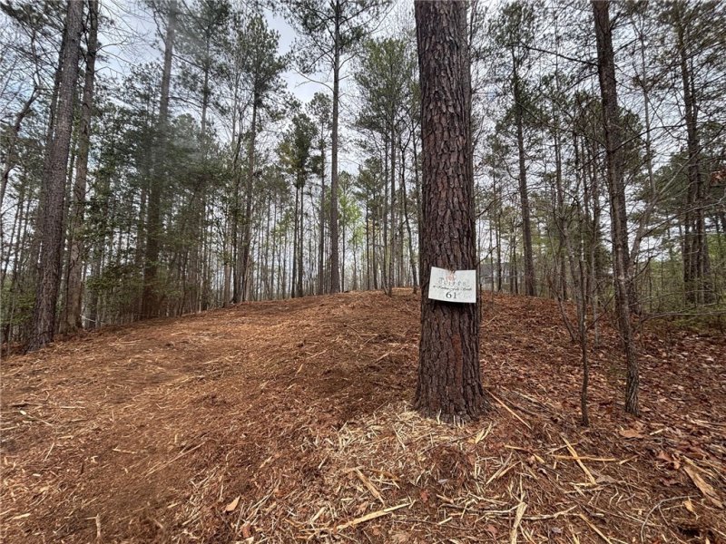 Property image 2 at 323 Long Cove Trail, Salem, SC 29676