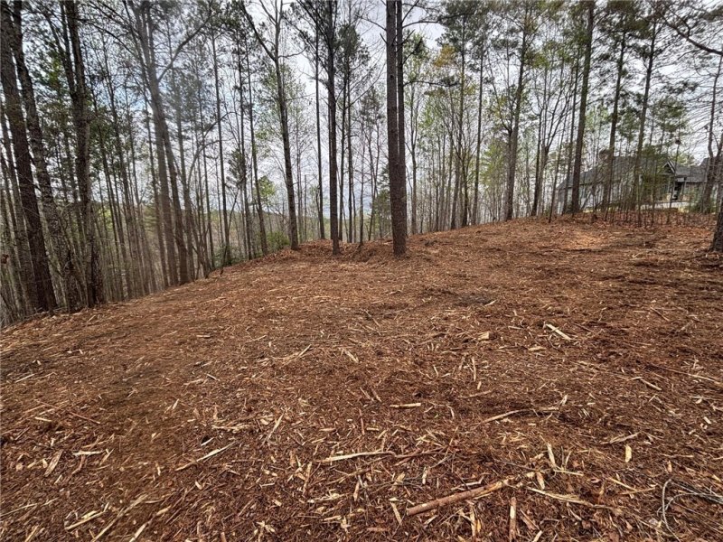 Property image 4 at 323 Long Cove Trail, Salem, SC 29676