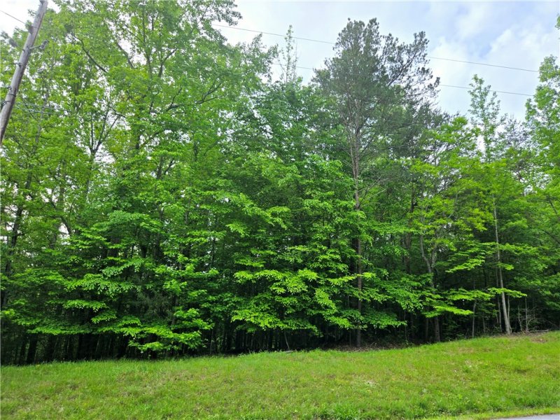 Property image 3 of Lot 435 Point Road in Chickasaw Point, Westminster, SC 29693
