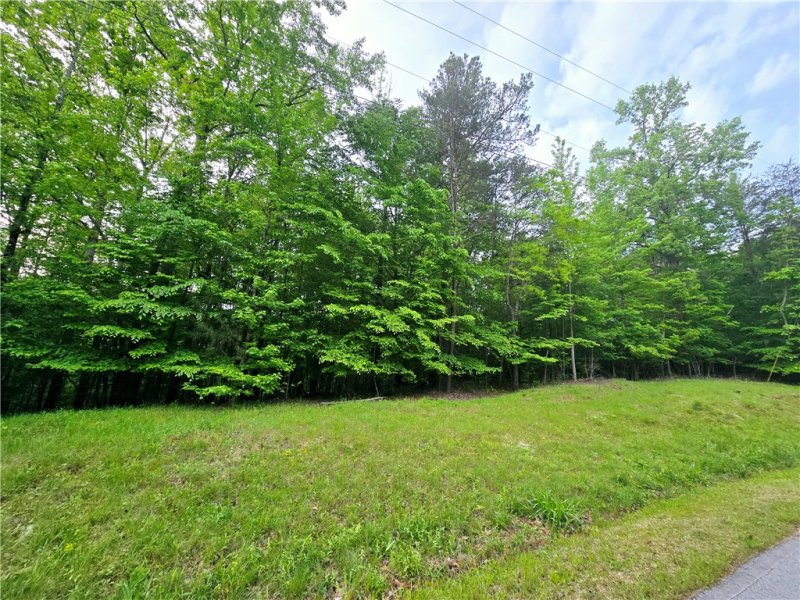 Property image 4 of Lot 435 Point Road in Chickasaw Point, Westminster, SC 29693