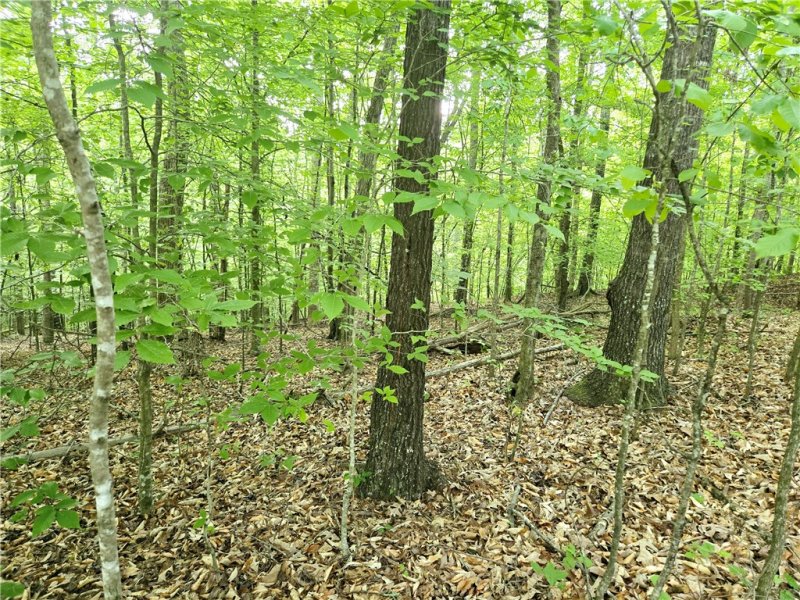 Property image 5 of Lot 435 Point Road in Chickasaw Point, Westminster, SC 29693