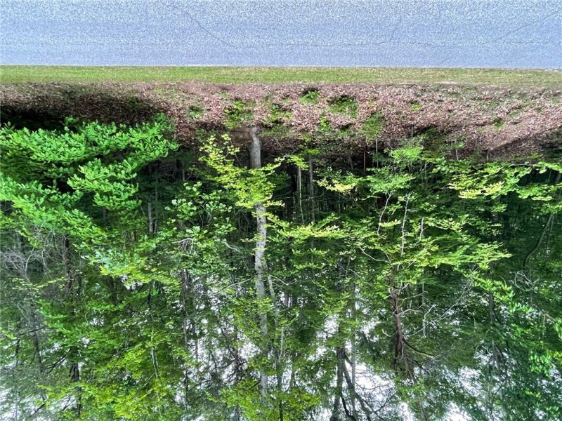 Property image 3 of 0 Point Road in Chickasaw Point, Westminster, SC 29693