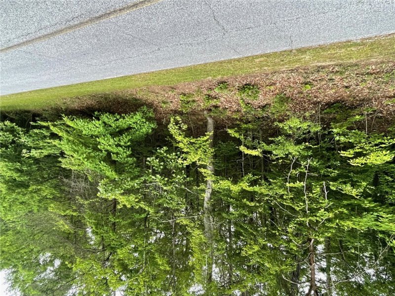 Property image 4 of 0 Point Road in Chickasaw Point, Westminster, SC 29693