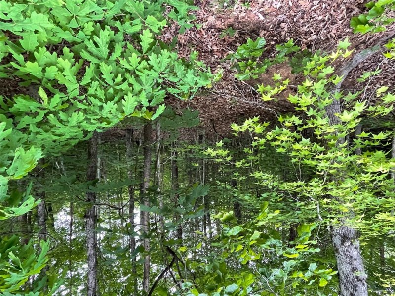 Property image 5 of 0 Point Road in Chickasaw Point, Westminster, SC 29693