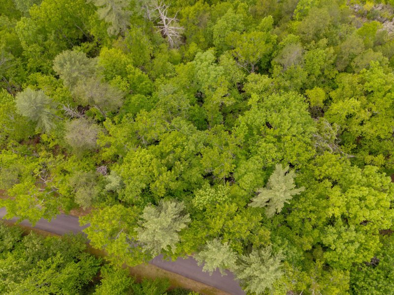 Property image 2 of 260 Eastatoe Parkway in Cliffs At Keowee Vineyards, Sunset, SC 29685