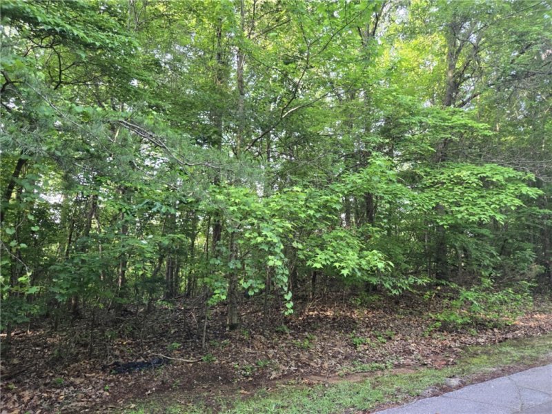 Property image 5 of Lot 356 E Laurel Drive in Chickasaw Point, Westminster, SC 29693