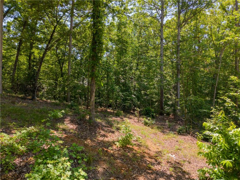 The Summit, Seneca Community