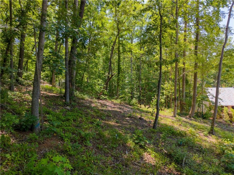 Property image 3 of 507 Viewpoint Court in The Summit, Seneca, SC 29672