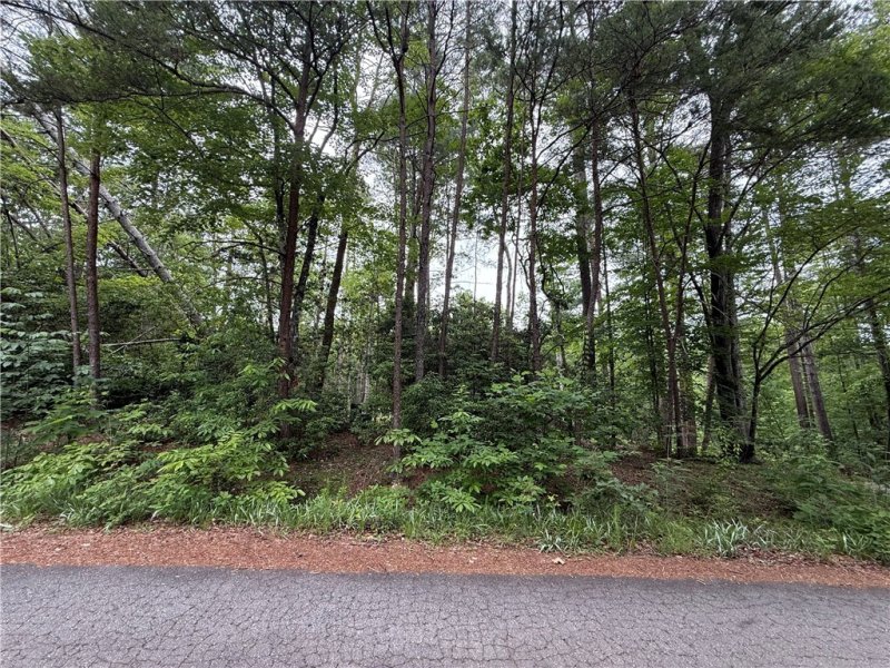 318 Gauley Falls Road