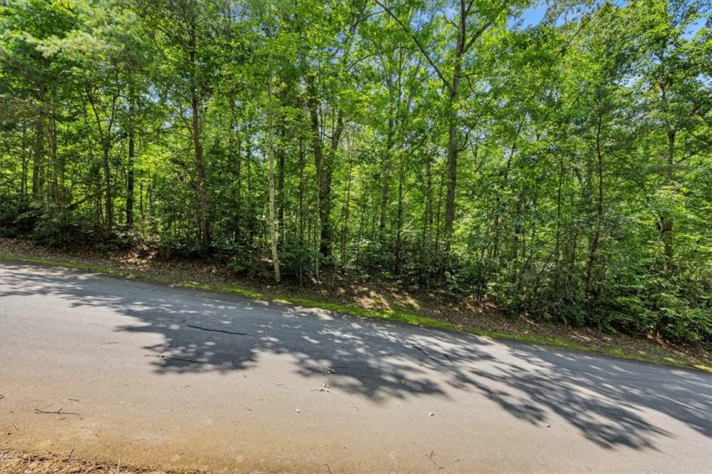 Property image 3 of 14 Alsace Way in Crescent Mountain Vineyard, Travelers Rest, SC 29690