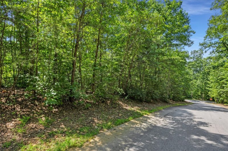 Property image 4 of 14 Alsace Way in Crescent Mountain Vineyard, Travelers Rest, SC 29690