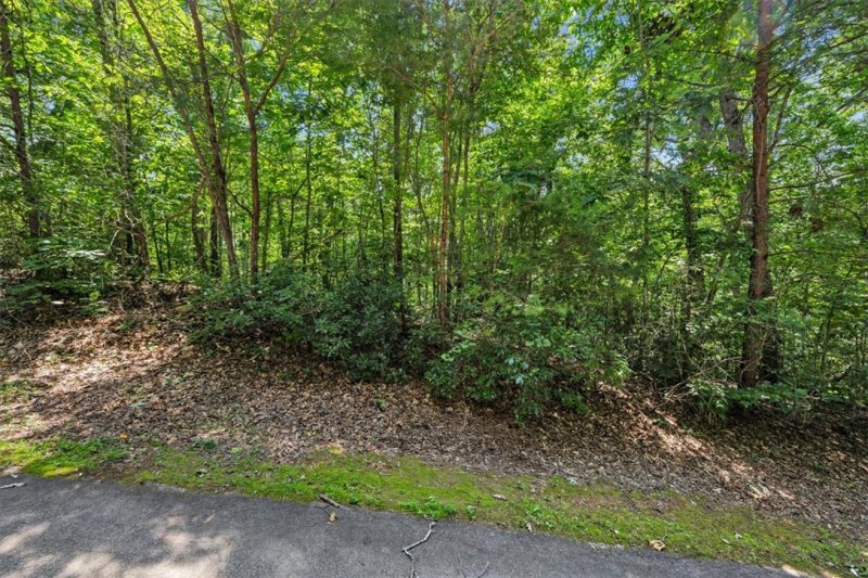 Property image 5 of 14 Alsace Way in Crescent Mountain Vineyard, Travelers Rest, SC 29690