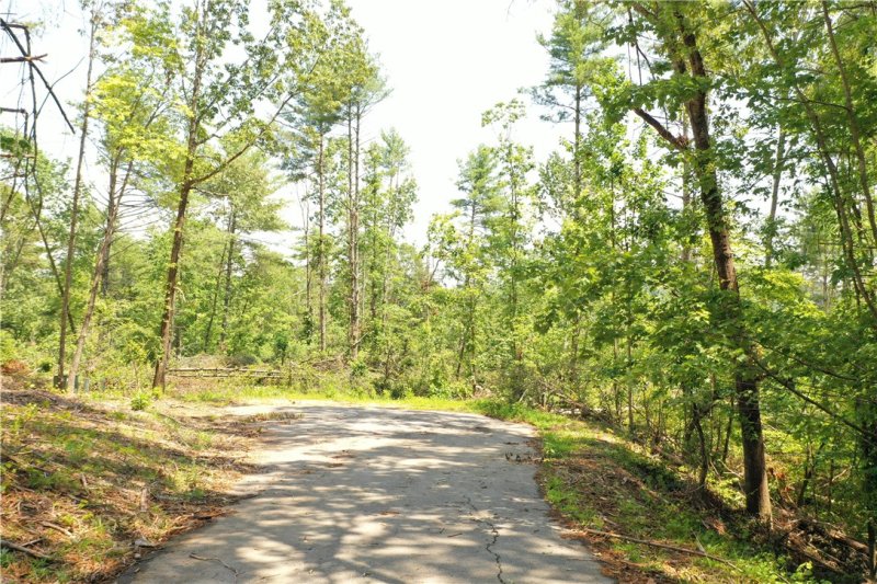 113 Sweetshrub Court