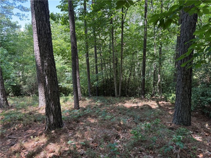 Property image 3 at 126 River Ridge Road, Sunset, SC 29685