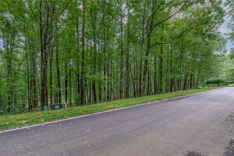 Property image 2 of 30 Snap Dragon Way in Cliffs At Glassy, Landrum, SC 29356