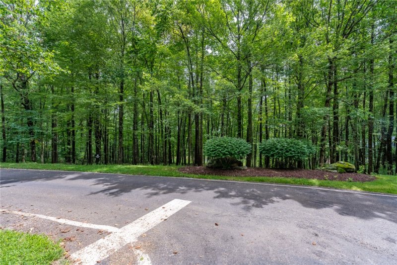 Property image 3 of 30 Snap Dragon Way in Cliffs At Glassy, Landrum, SC 29356