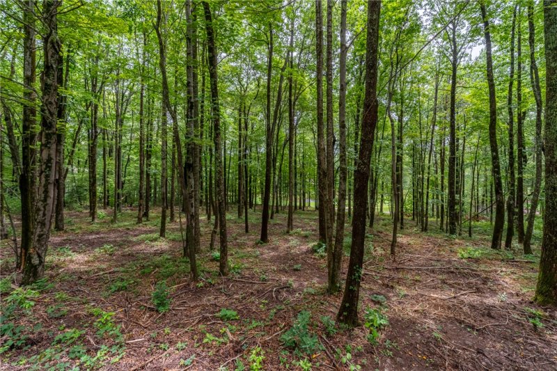 Property image 5 of 30 Snap Dragon Way in Cliffs At Glassy, Landrum, SC 29356