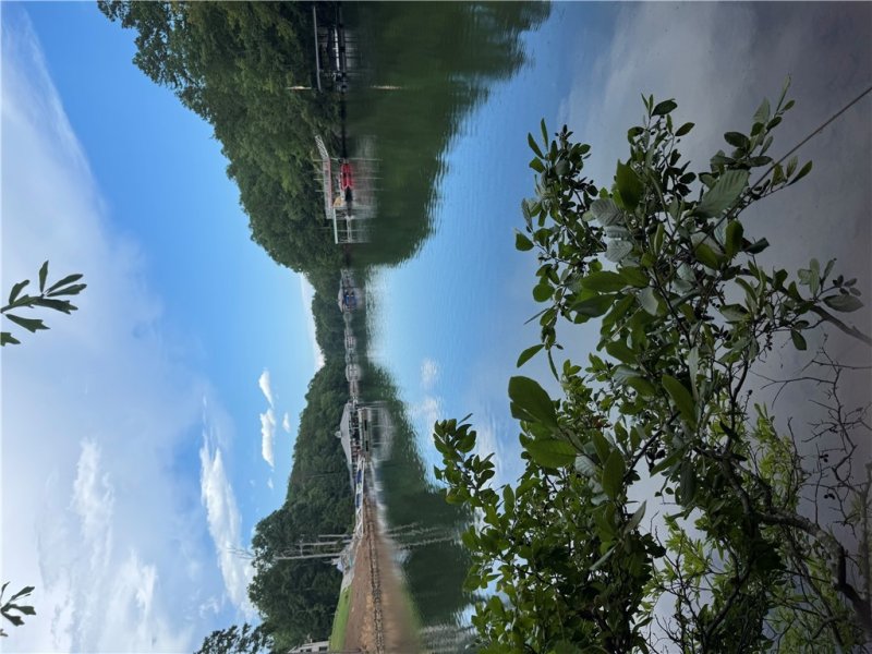 Property image 4 at 216 Harbor Point Road, Seneca, SC 29672