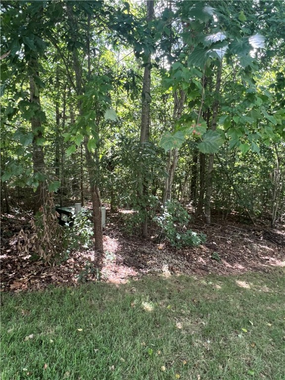 Property image 3 at 12 Summer Walk Court, Seneca, SC 29678