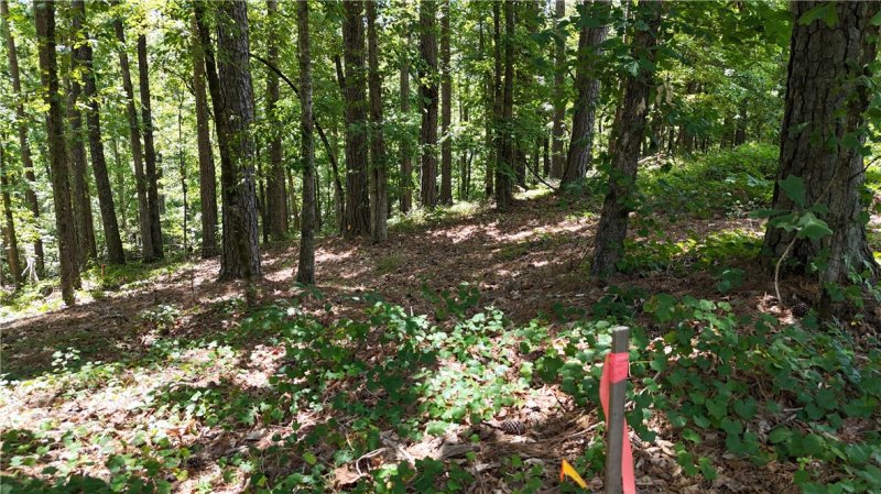 Property image 4 at Lot 127 Longwood Drive, Seneca, SC 29672