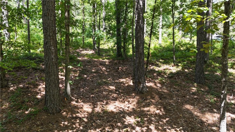Property image 5 at Lot 127 Longwood Drive, Seneca, SC 29672