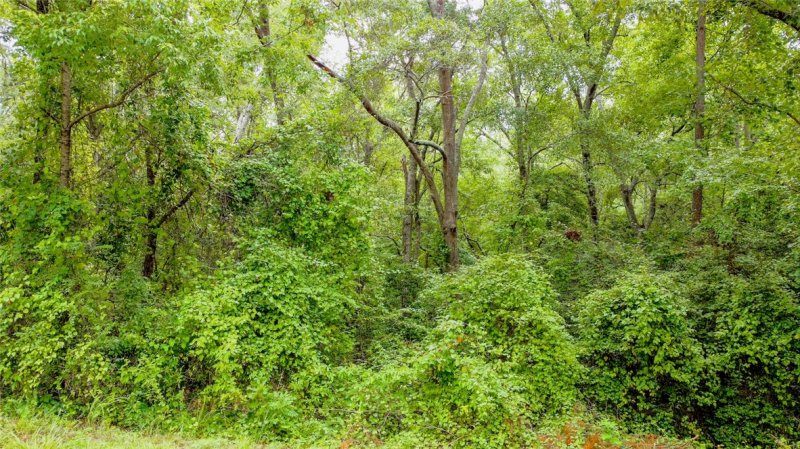 Property image 2 at 00 Country Glen Lane, Pelzer, SC 29669