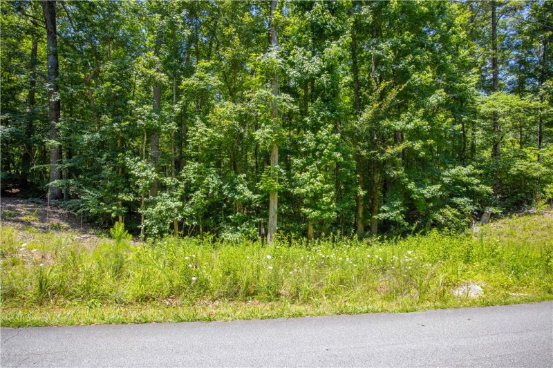 Property image 4 of 132 E Avondale Drive in Foxwood Hills, Westminster, SC 29693