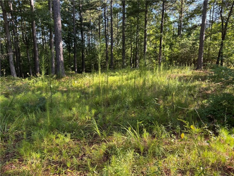 527 Brookgreen Trail