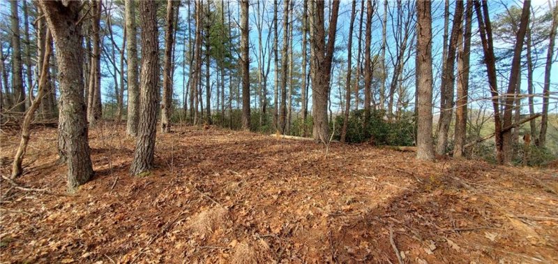 Property image 3 at 116 Sweetshrub Way, Sunset, SC 29685