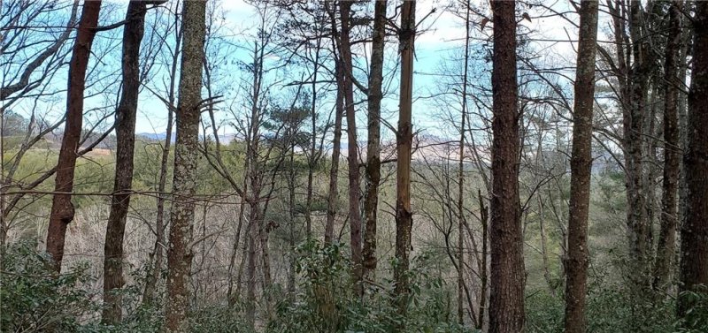 Property image 5 at 116 Sweetshrub Way, Sunset, SC 29685