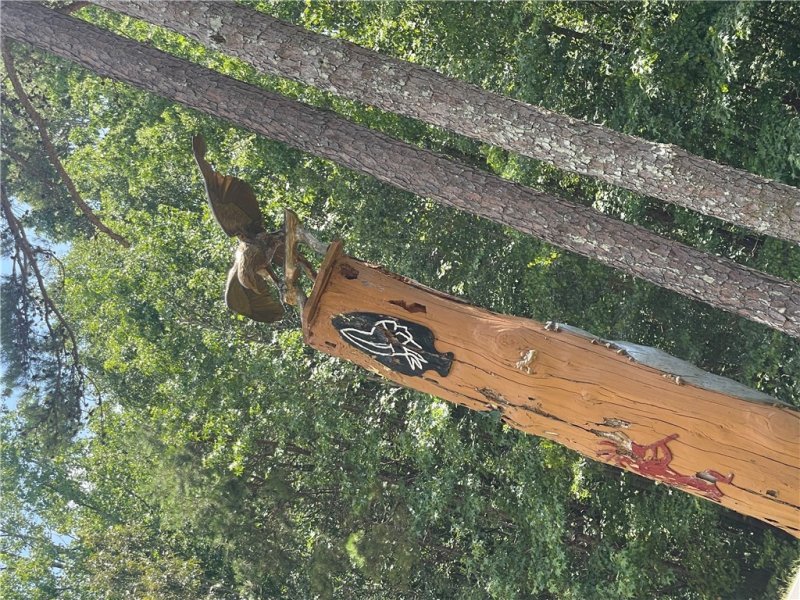 Property image 3 of 614 S Sundew Drive in Chickasaw Point, Westminster, SC 29693