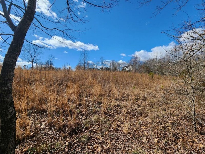 Property image 2 at Lot 18 Paramount Drive, Seneca, SC 29678