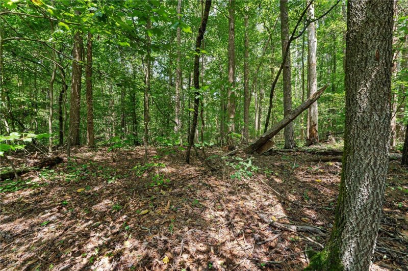 Property image 4 at 1117 Chickasaw Point, Westminster, SC 29693