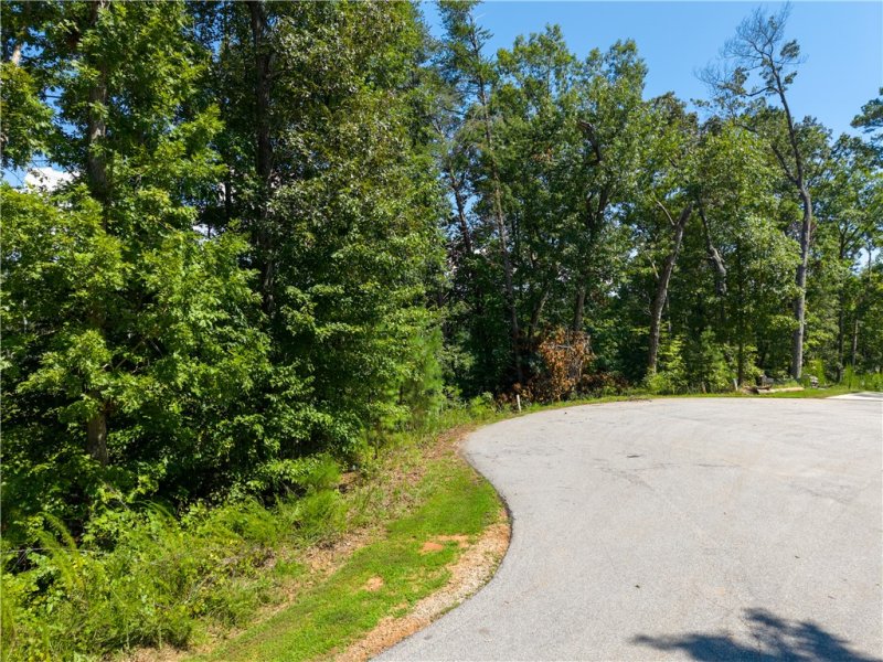 Property image 2 of Lot 61 Hardwood Pointe Drive in Peninsula Pointe North, West Union, SC 29696