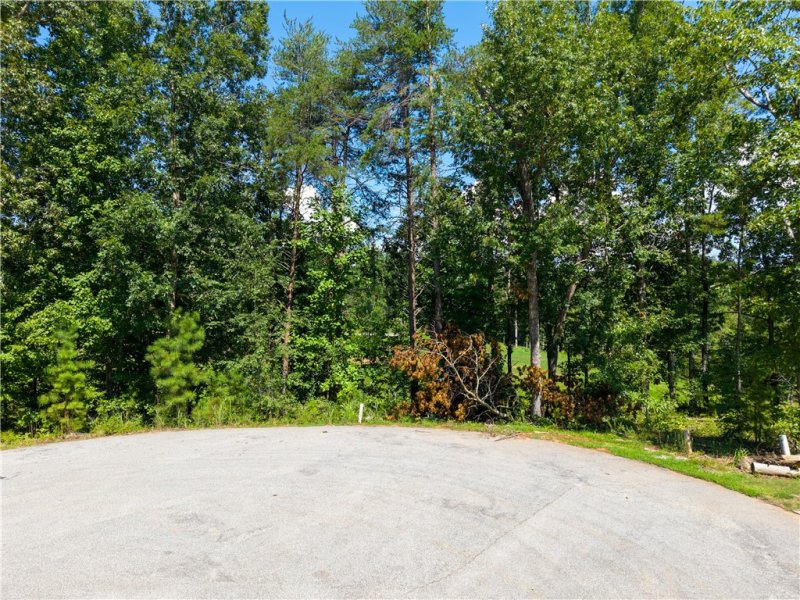 Property image 3 of Lot 61 Hardwood Pointe Drive in Peninsula Pointe North, West Union, SC 29696