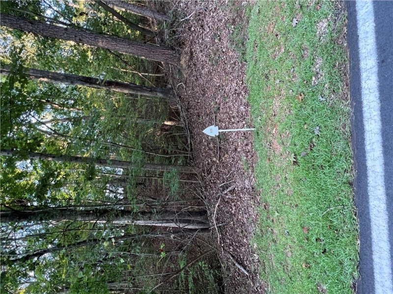 Property image 3 of 909 S Hogan Drive in Chickasaw Point, Westminster, SC 29693