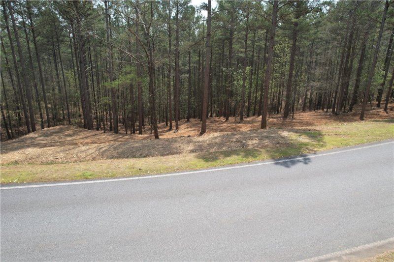 Property image 4 at 628 Pine Harbor Way, Salem, SC 29676