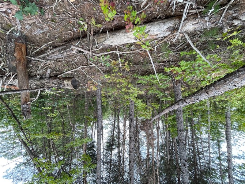 Property image 3 at Lot 1125 Bunker Lane, Westminster, SC 29693