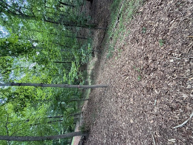 Property image 4 of 0 Lot 3 Reed Creek Point in Moonlight Bay, Hartwell, GA 30643