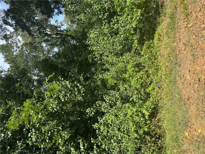 Property image 2 of 404 Azalea Drive in Evergreen Hills, Anderson, SC 29625