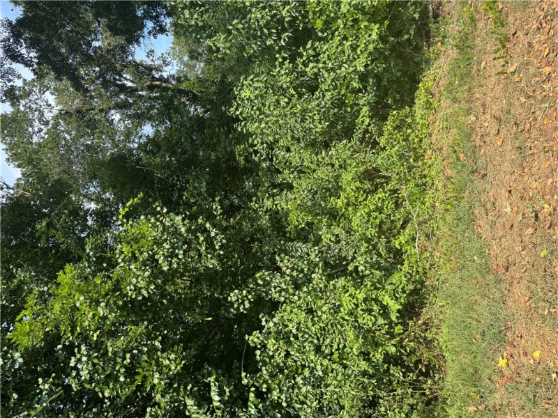 Property image 3 of 404 Azalea Drive in Evergreen Hills, Anderson, SC 29625