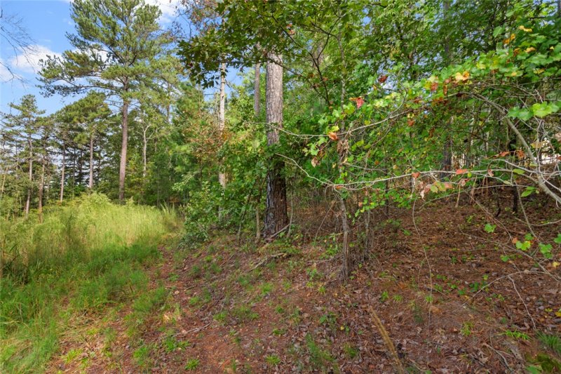 Property image 5 of Lot 27 Coachmans Trail in Wilderness Cove, West Union, SC 29696