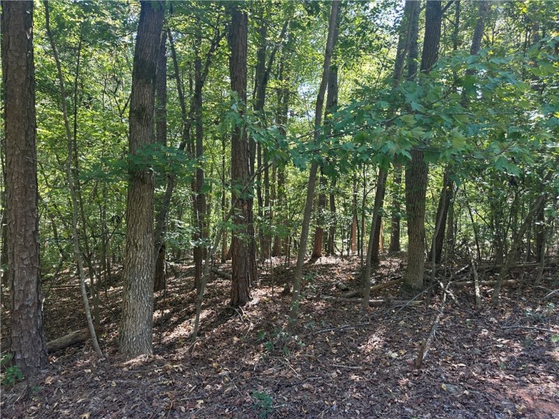 Property image 4 of 0 N Arrowhead Drive in Chickasaw Point, Westminster, SC 29693