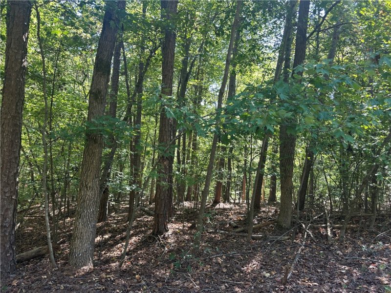 Property image 5 of 0 N Arrowhead Drive in Chickasaw Point, Westminster, SC 29693