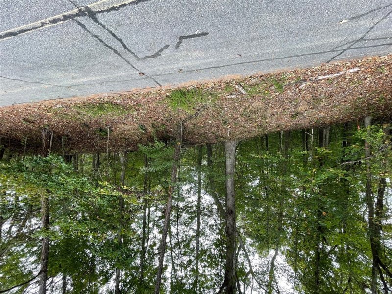 Property image 2 of Lot 296 Chickasaw Point Oconee Avenue in Chickasaw Point, Westminster, SC 29693